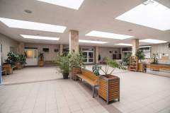 wp-1586432993761