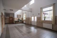 wp-1586433457005