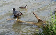 image031
