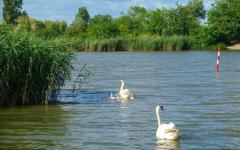 image033